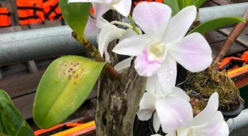 Orchid Lake House Ban Wang Khon Bagian luar foto